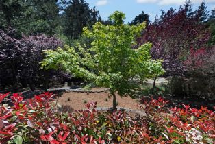 Single Family Residence,  wagnon road, Sebastopol, CA 95472 - 43
