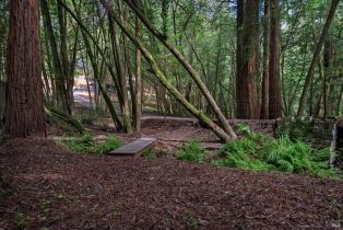 Single Family Residence,  wagnon road, Sebastopol, CA 95472 - 65