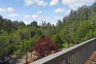 Single Family Residence,  wagnon road, Sebastopol, CA 95472 - 23