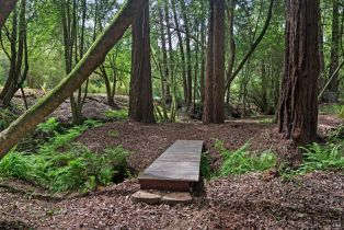 Single Family Residence,  wagnon road, Sebastopol, CA 95472 - 63