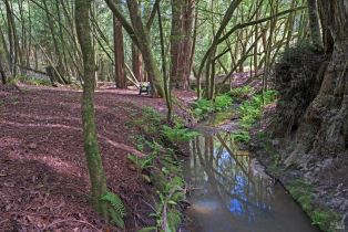 Single Family Residence,  wagnon road, Sebastopol, CA 95472 - 66