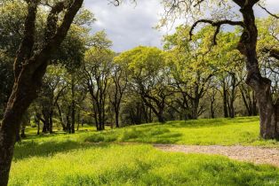 Single Family Residence,  Wood Valley road, Sonoma, CA 95476 - 6