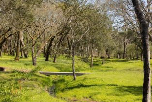 Single Family Residence,  Wood Valley road, Sonoma, CA 95476 - 37