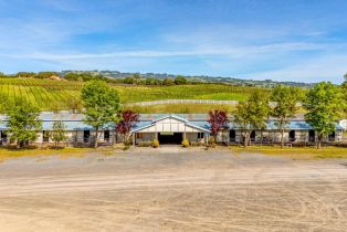 Single Family Residence,  Mountain Ranch road, Petaluma, CA 94954 - 73
