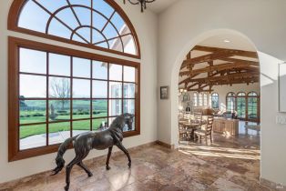 Single Family Residence,  Mountain Ranch road, Petaluma, CA 94954 - 12