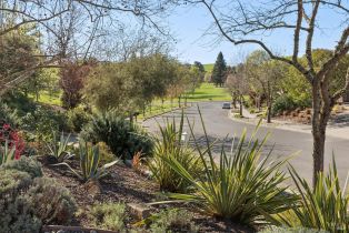 Single Family Residence,  Linda Mesa way, Napa, CA 94558 - 40