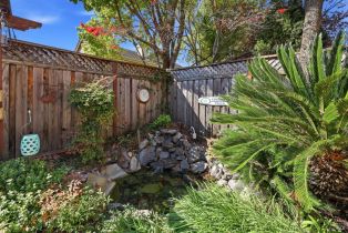 Single Family Residence,  Birdie drive, Windsor, CA 95492 - 34