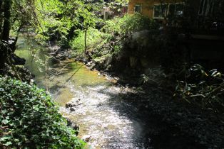 Single Family Residence, Old Cazadero road, Russian River, CA 95446 - 19