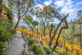 Single Family Residence,  Pickett road, Calistoga, CA 94515 - 49