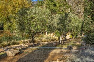 Single Family Residence,  Pickett road, Calistoga, CA 94515 - 74