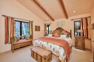 Single Family Residence,  Pickett road, Calistoga, CA 94515 - 42