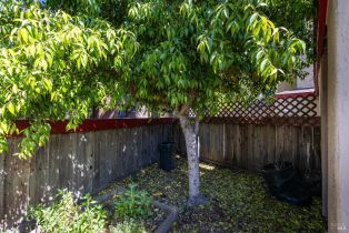 Condominium, Redwood court, Santa Rosa, CA 95409 - 26
