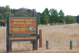 Single Family Residence,  Slattery road, Glen Ellen, CA 95442 - 41