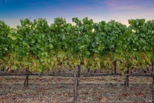 Single Family Residence,  Big Ranch road, Napa, CA 94558 - 90