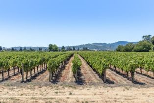Single Family Residence,  Big Ranch road, Napa, CA 94558 - 92