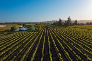 Single Family Residence,  Big Ranch road, Napa, CA 94558 - 3