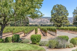 Single Family Residence,  Big Ranch road, Napa, CA 94558 - 76