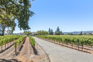 Single Family Residence,  Big Ranch road, Napa, CA 94558 - 80