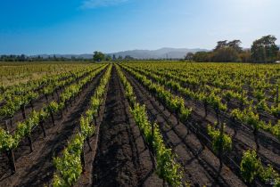 Single Family Residence,  Big Ranch road, Napa, CA 94558 - 93