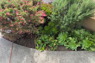 Single Family Residence,  Albany drive, Santa Rosa, CA 95401 - 4