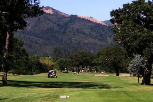 Single Family Residence,  Aspen Meadows circle, Santa Rosa, CA 95409 - 46