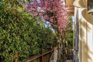 Condominium,  5th street, Sonoma, CA 95476 - 48