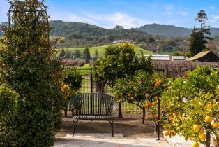 Single Family Residence,  Vista Ranch road, Napa, CA 94558 - 55