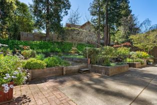 Single Family Residence,  Gilardi drive, Petaluma, CA 94952 - 25