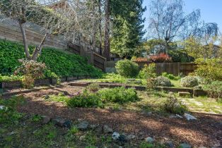 Single Family Residence,  Gilardi drive, Petaluma, CA 94952 - 27
