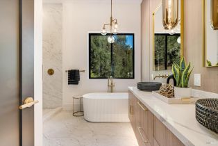 Single Family Residence,  Clear Ridge drive, Healdsburg, CA 95448 - 72