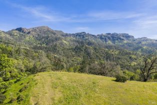 Residential Acreage,  Lake County highway, Calistoga, CA 94515 - 6