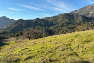 Residential Acreage,  Lake County highway, Calistoga, CA 94515 - 23
