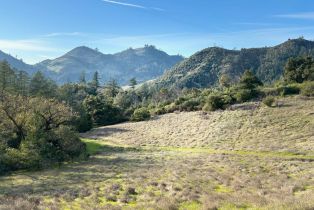 Residential Acreage,  Lake County highway, Calistoga, CA 94515 - 10