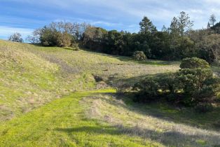 Residential Acreage,  Lake County highway, Calistoga, CA 94515 - 13