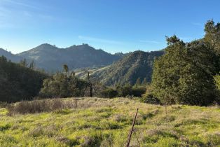 Residential Acreage,  Lake County highway, Calistoga, CA 94515 - 20