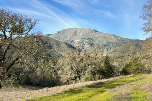 Residential Acreage,  Lake County highway, Calistoga, CA 94515 - 12