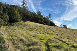 Residential Acreage,  Lake County highway, Calistoga, CA 94515 - 18