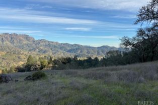 Residential Acreage,  Lake County highway, Calistoga, CA 94515 - 17