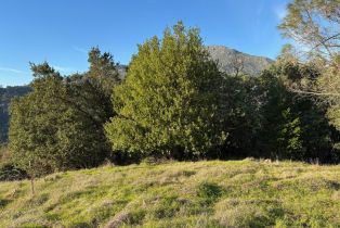Residential Acreage,  Lake County highway, Calistoga, CA 94515 - 21