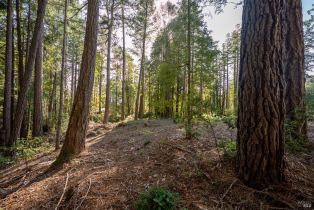 Residential Lot,  Umland circle, Jenner, CA 95450 - 13