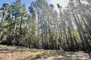 Residential Lot,  Umland circle, Jenner, CA 95450 - 19