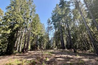 Residential Lot,  Umland circle, Jenner, CA 95450 - 20