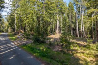 Residential Lot,  Umland circle, Jenner, CA 95450 - 5