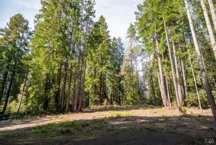 Residential Lot,  Umland circle, Jenner, CA 95450 - 12