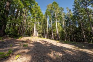 Residential Lot,  Umland circle, Jenner, CA 95450 - 10