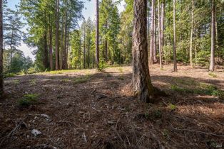 Residential Lot,  Umland circle, Jenner, CA 95450 - 2
