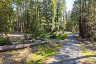 Residential Lot,  Umland circle, Jenner, CA 95450 - 8