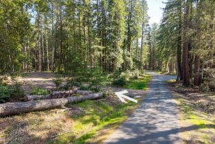 Residential Lot,  Umland circle, Jenner, CA 95450 - 7