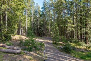 Residential Lot,  Umland circle, Jenner, CA 95450 - 6