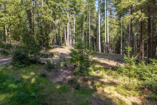 Residential Lot,  Umland circle, Jenner, CA 95450 - 18